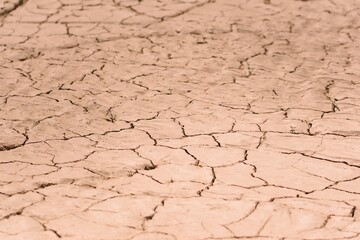 Dry, cracked desert ground texture close up.
