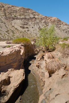 Narrow creek across the desert in natural reserve El Leoncito, located in the province of San Juan, Argentina.