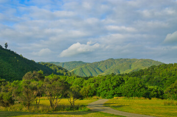 Obraz premium Camping site in the dense rainforest of Tararua Forest Park, Kapiti Coast district, North Island, New Zealand. 