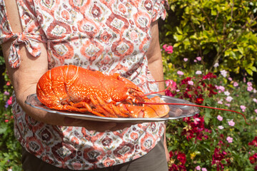 Cooked lobster on a plate