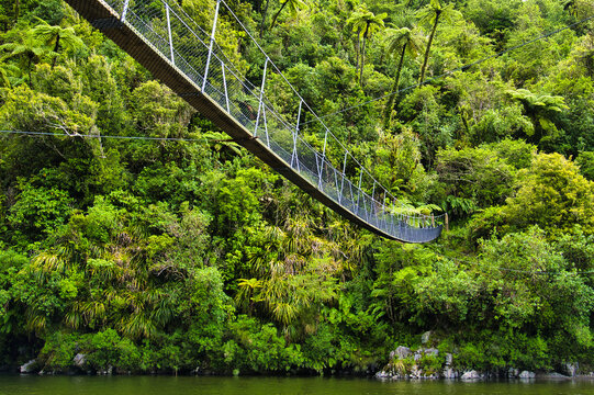 Footbridge for hikers over the Otaki River in the Otaki Forks area of Tararua Forest Park, Kapiti Coast district, North Island, New Zealand, an area with dense rainforest. Low camera standpoint.
