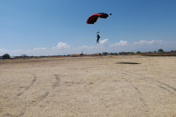 Skydiving. A parachute is landing on the field.