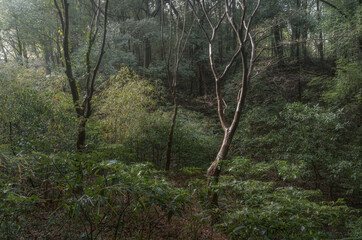 The morning sun illuminates