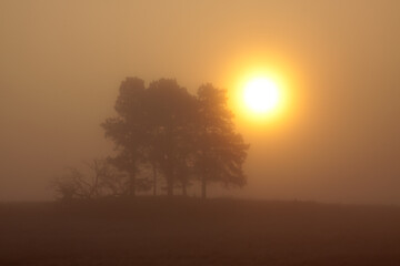 Fototapeta na wymiar Foggy Morning Sunrise