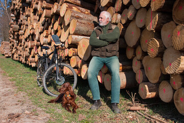 A cyclist and his beautiful Irish Setter dog take a break by a huge pile of tree trunks, enjoying the stillness and the warm rays of the March sun.