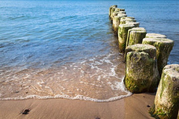 Old Well-tested Natural Coastal Protection / Row of wooden weathered groynes at coast of german Baltic Sea (copy space) - 494582255