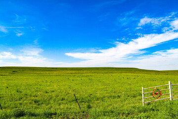 lush green meadow great plains grazing pasture farmland farm ground blue sky landscape