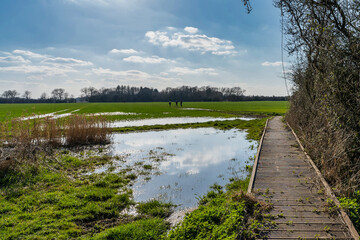 Wooden footpath in a field, water