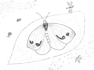 Butterfly sits on a leaf, top view. Ladybugs and dragonflies are flying around. Handdrowing. Black and white. Vector.
