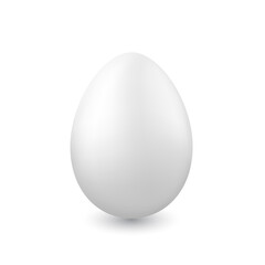 One chicken egg on white background.