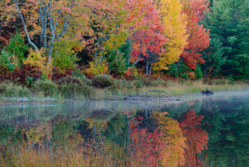 551-64 Shoreline Autumn