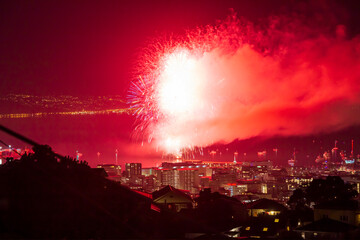 Obraz na płótnie Canvas 2019 Matariki fireworks. View from Brooklyn in Wellington, New Zealand