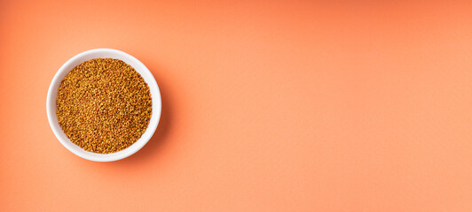 Medicago sativa - Organic alfalfa seeds in ceramic bowl