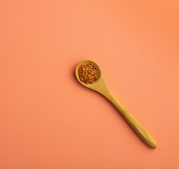 Organic alfalfa seeds in the wooden spoon - Medicago sativa