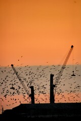 sunset over the city