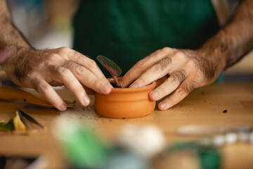 Planting succulent in the pot