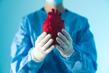 surgeon preparing for complicated heart disease related procedure by holding artificial red heart...