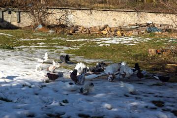 Church Assumption of Virgin Mary in town of Koprivshtitsa, Bulgaria