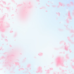 Fototapeta na wymiar Sakura petals falling down. Romantic pink flowers vignette. Flying petals on blue sky square background. Love, romance concept. Extra wedding invitation.