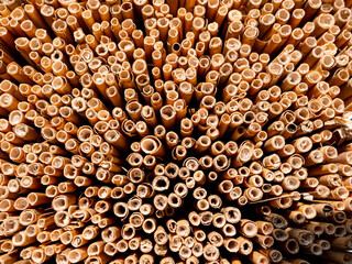 The ends of a bamboo mat form an abstract pattern. 
