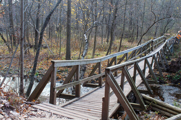 Footbridge in the Forest