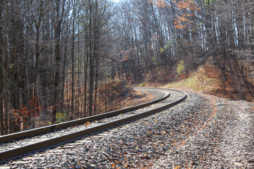 Train Track in Autumn