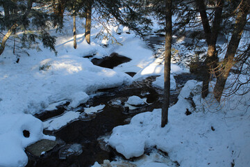 Flowing Brook in Winter