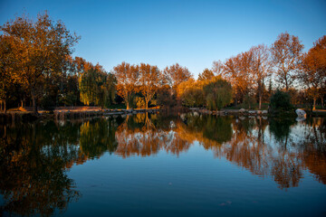 Fototapeta na wymiar Autumn in Bursa Botanical Park 