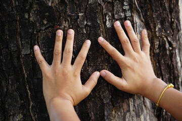 Earth love concept, human hand touching the tree with love