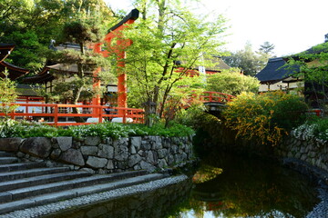 SHIMOGAMO JINJA shrine in fresh green season