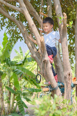 Naklejka na ściany i meble Cute Asian kindergarten boy child having fun facing challenge, trying to climb on the tree at home backyard on nature, Free play, Early Childhood Practice, Outdoor play for healthy little kids