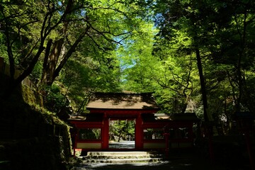 KIFUNE JINJA shrine in fresh green season