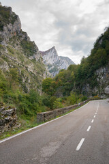 Road in Picos de Europa national park on a cloudy day, Spain