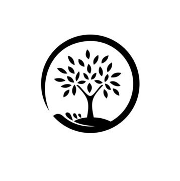 Abstract living tree logo design on water. The tree of life logo isolated on a white background 