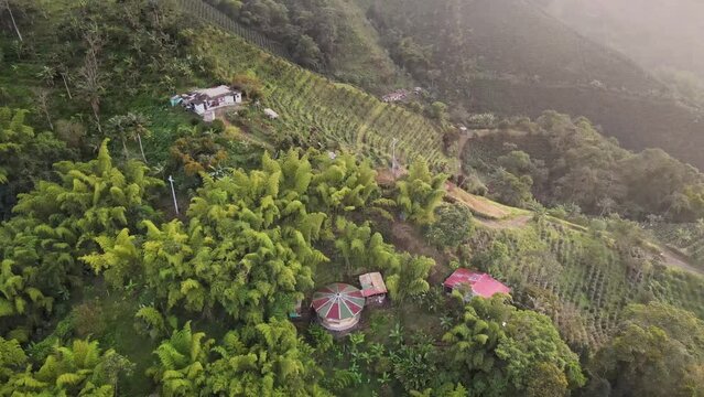 Vistas a&eacute;reas de fincas con cultivos de caf&eacute;.