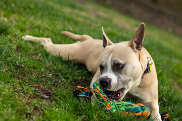 Playing With Rope is Fun!