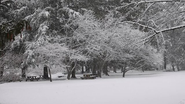 Snow falling slowly over winter landscape in historic northeastern district