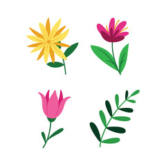 Colorful Flat Flowers Illustration Natural Object