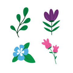 Colorful Flat Flowers Illustration Natural Object