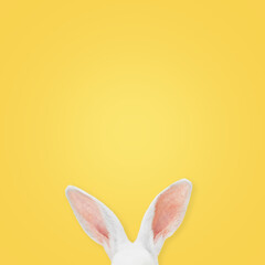 White rabbit ears on a light yellow background with copy space. Easter minimalism.