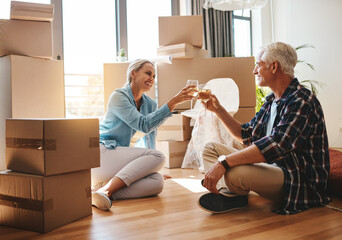 Life boils down to the milestones. Shot of a happy mature couple toasting with wine on moving day.