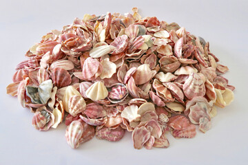 キンチャクガイ