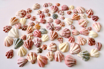 キンチャクガイ