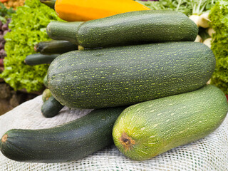 pile of cucumber, widely cultivated cylindrical vegetable, closeup view taken in shallow depth of field