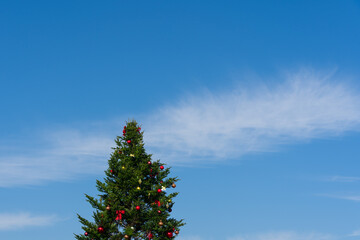 青空とクリスマスツリー