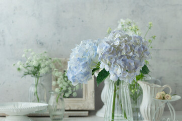 白いあじさい　白い部屋