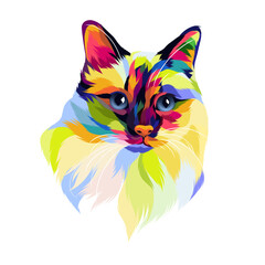 cat vector pop art illustration