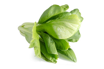 Fresh Bok choy vegetable isolated on white background.