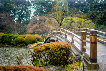 Bridge over the river