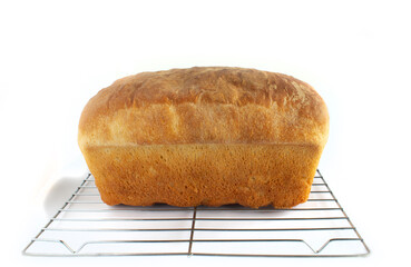 Fresh Loaf of Homemade Bread on Cooling Rack Isolated on White